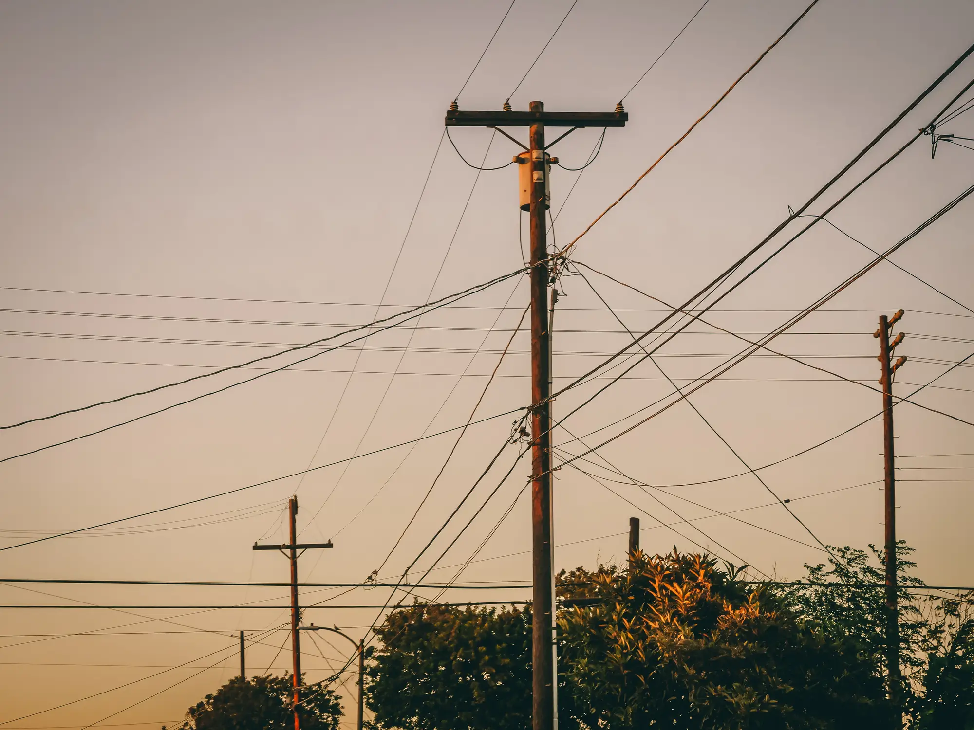 Wooden distribution poles and overhead lines against an evening sky